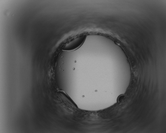 X0000052611495200507160023