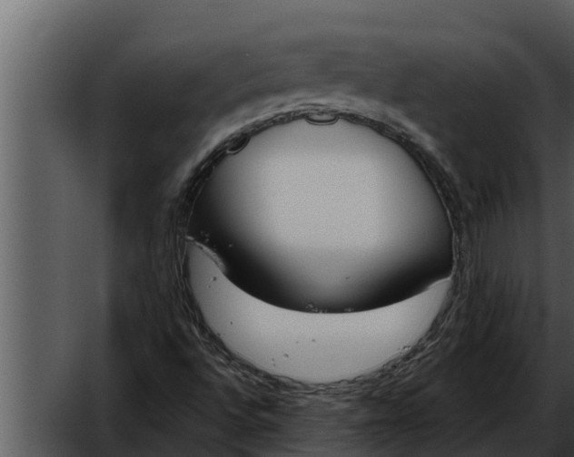 X0000052611496200507160023