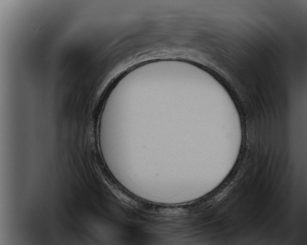 X0000052611498200507160023