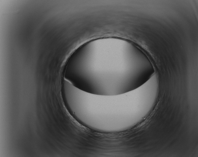 X0000052611500200507160023