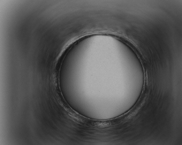 X0000052611501200507160023