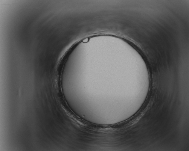 X0000052611502200507160023