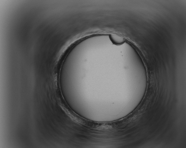 X0000052611503200507160023