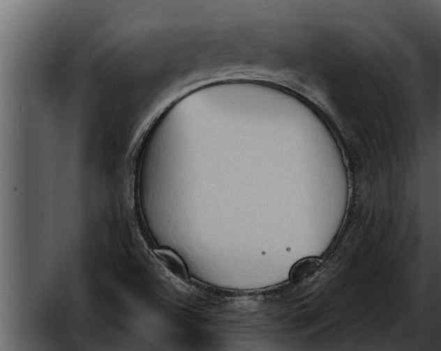 X0000052611504200507160023