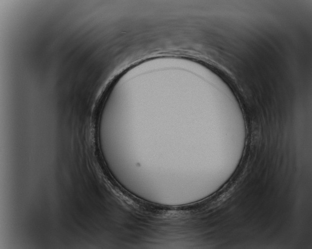 X0000052611506200507160023