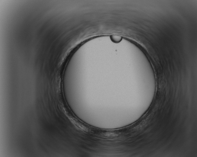 X0000052611507200507160023