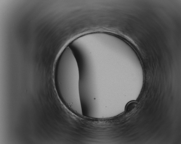 X0000052611508200507160023