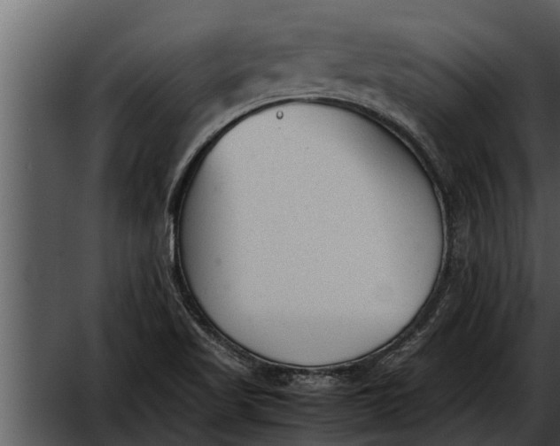 X0000052611509200507160024