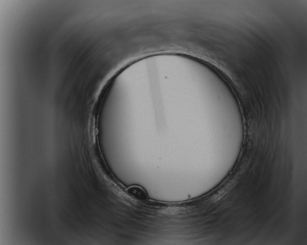 X0000052611510200507160024