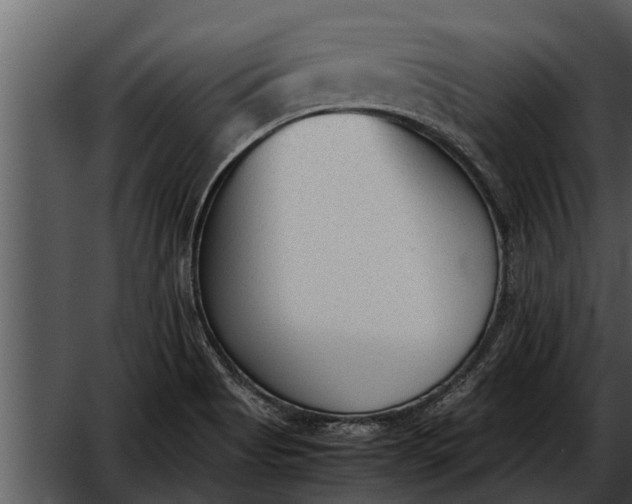 X0000052611513200507160024