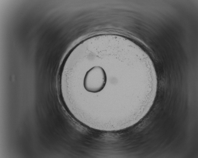 X0000052611514200507160024