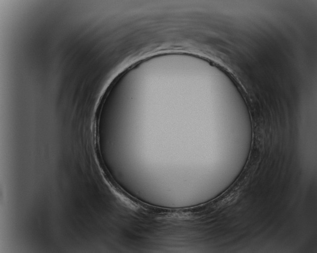 X0000052611519200507160024