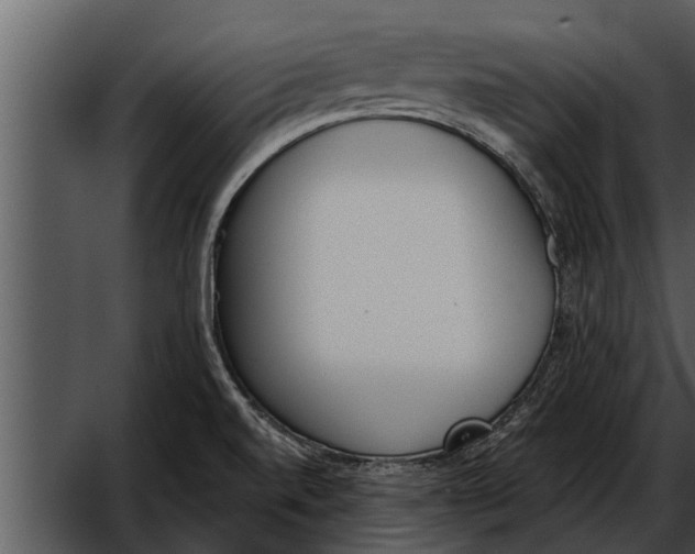 X0000052611520200507160024