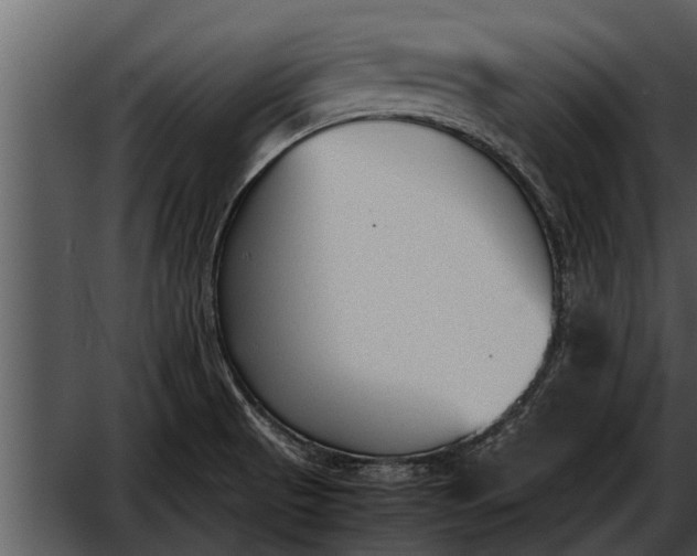 X0000052611521200507160024