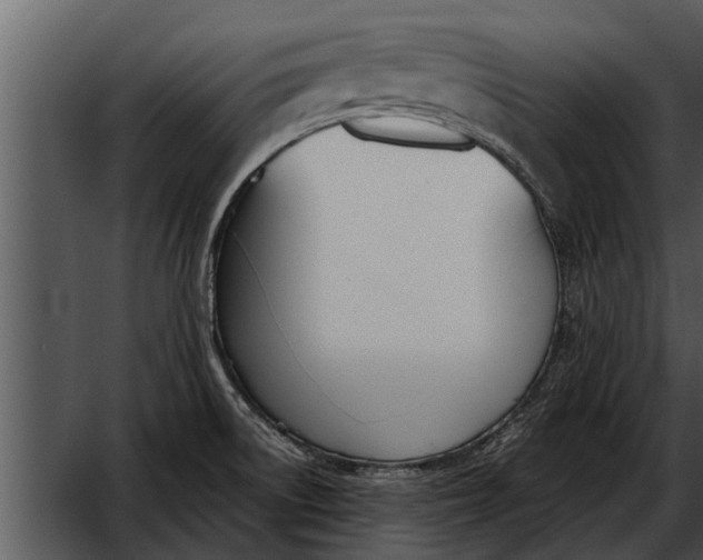 X0000052611522200507160024