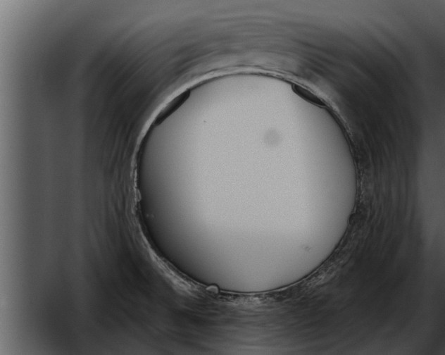 X0000052611524200507160024