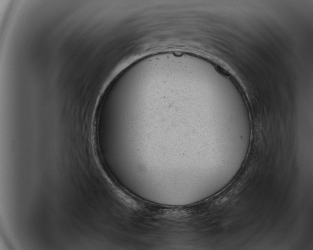 X0000052611525200507160024