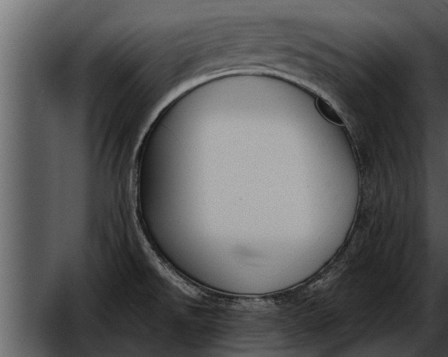 X0000052611526200507160024