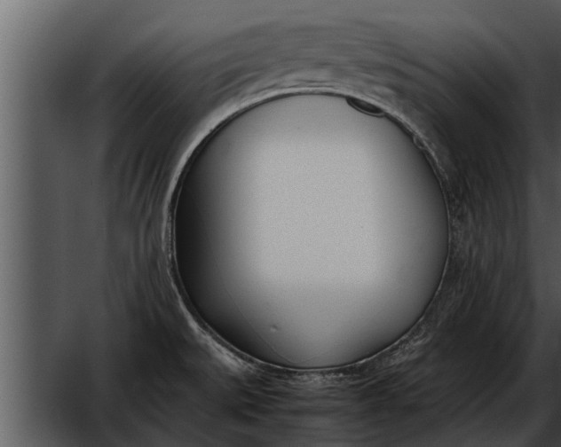 X0000052611527200507160024