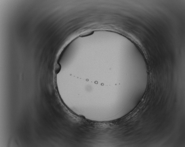 X0000052611528200507160024