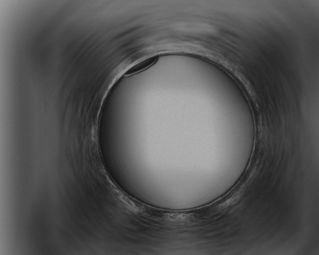 X0000052611529200507160024