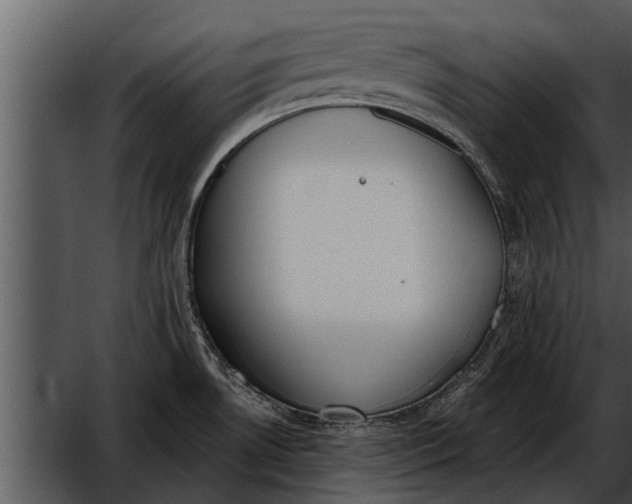 X0000052611530200507160024