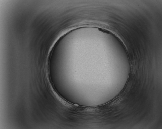 X0000052611531200507160024