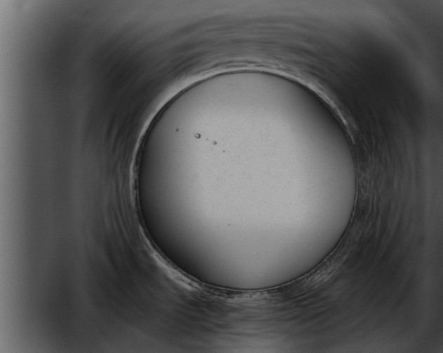 X0000052611535200507160024