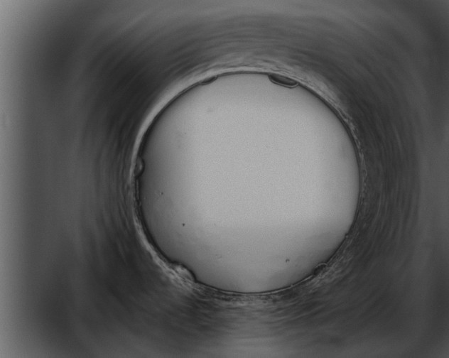 X0000052611536200507160024