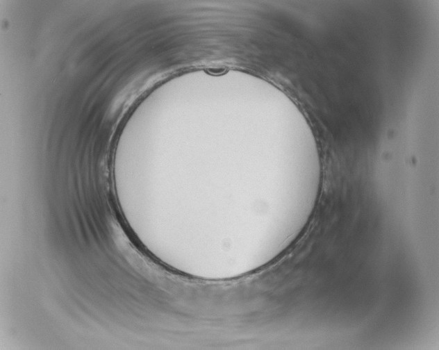 X0000052610002200507221711