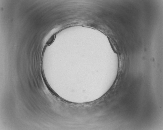 X0000052610003200507221711