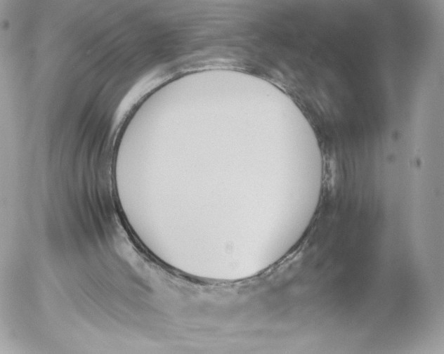 X0000052610004200507221711