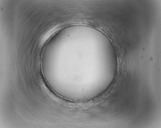 X0000052610005200507221711