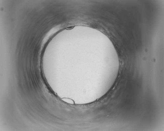 X0000052610006200507221711