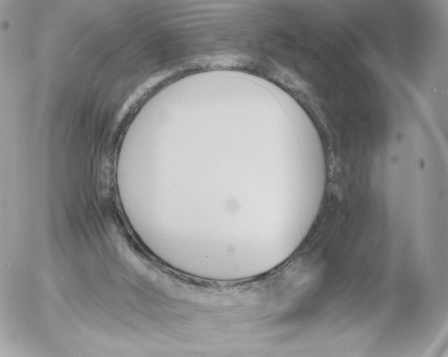 X0000052610012200507221711