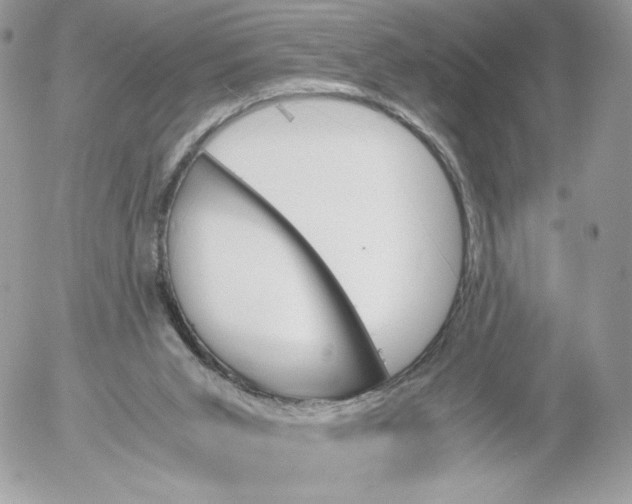 X0000052610015200507221711