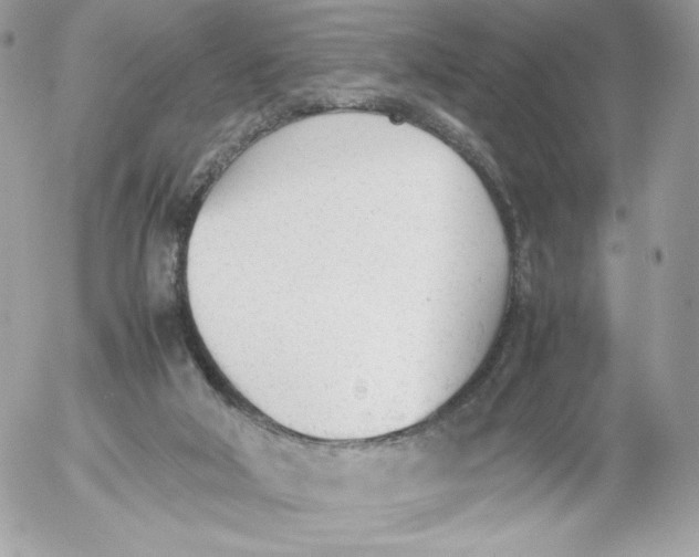 X0000052610018200507221711