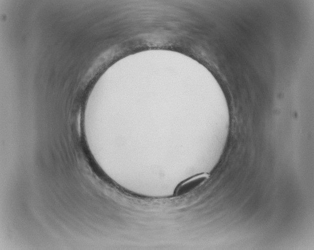 X0000052610019200507221711