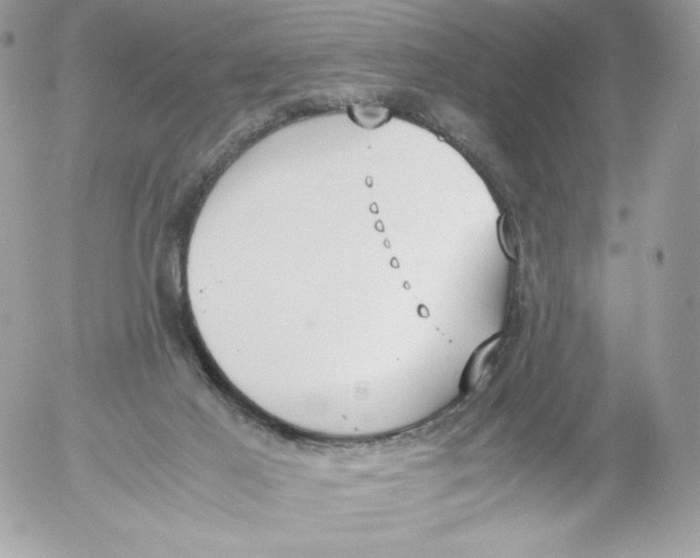 X0000052610021200507221711