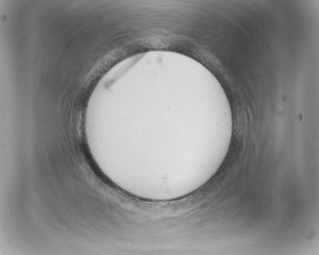 X0000052610023200507221710