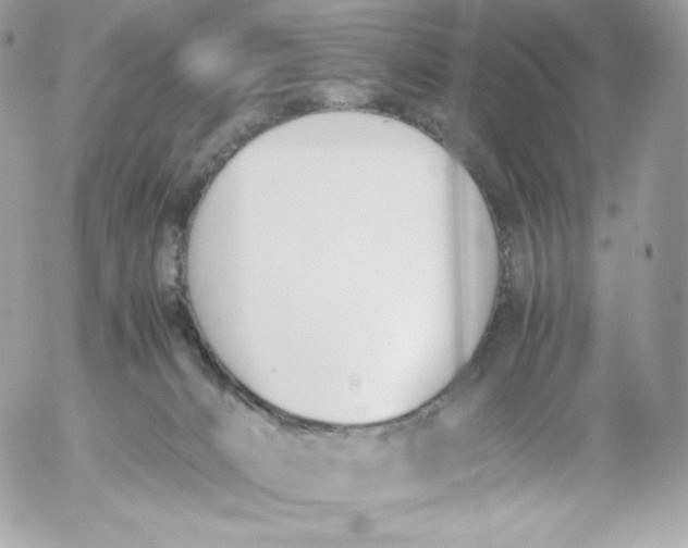 X0000052610032200507221710