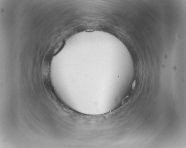 X0000052610033200507221710