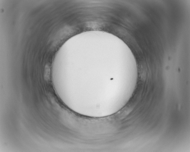 X0000052610036200507221710