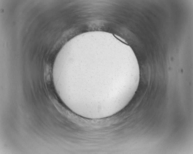 X0000052610038200507221710