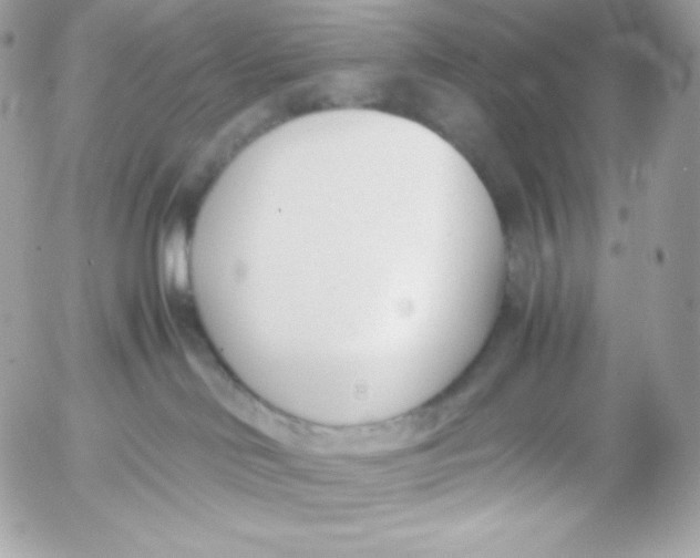 X0000052610046200507221710