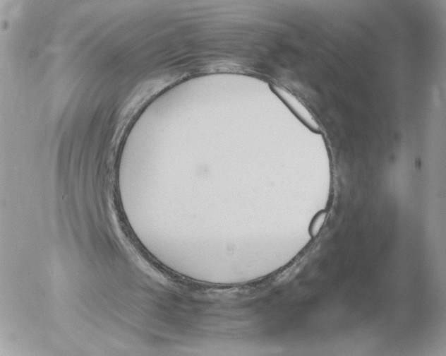 X0000052610049200507221709