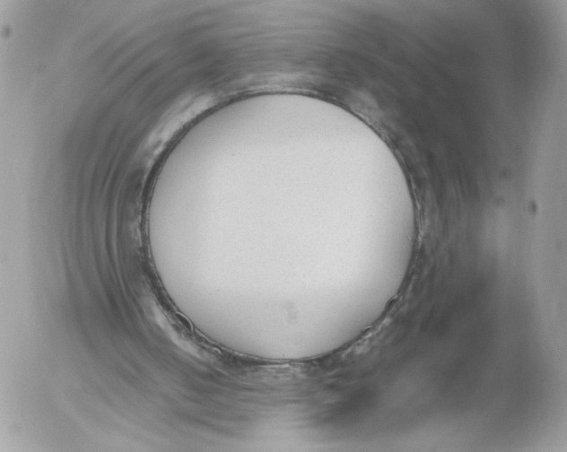 X0000052610050200507221709