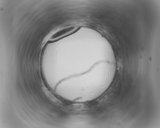 X0000052610052200507221709