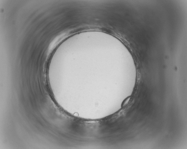 X0000052610053200507221709