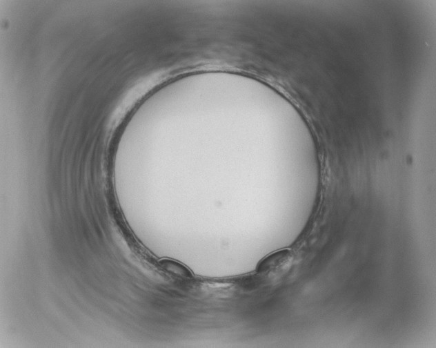 X0000052610055200507221709